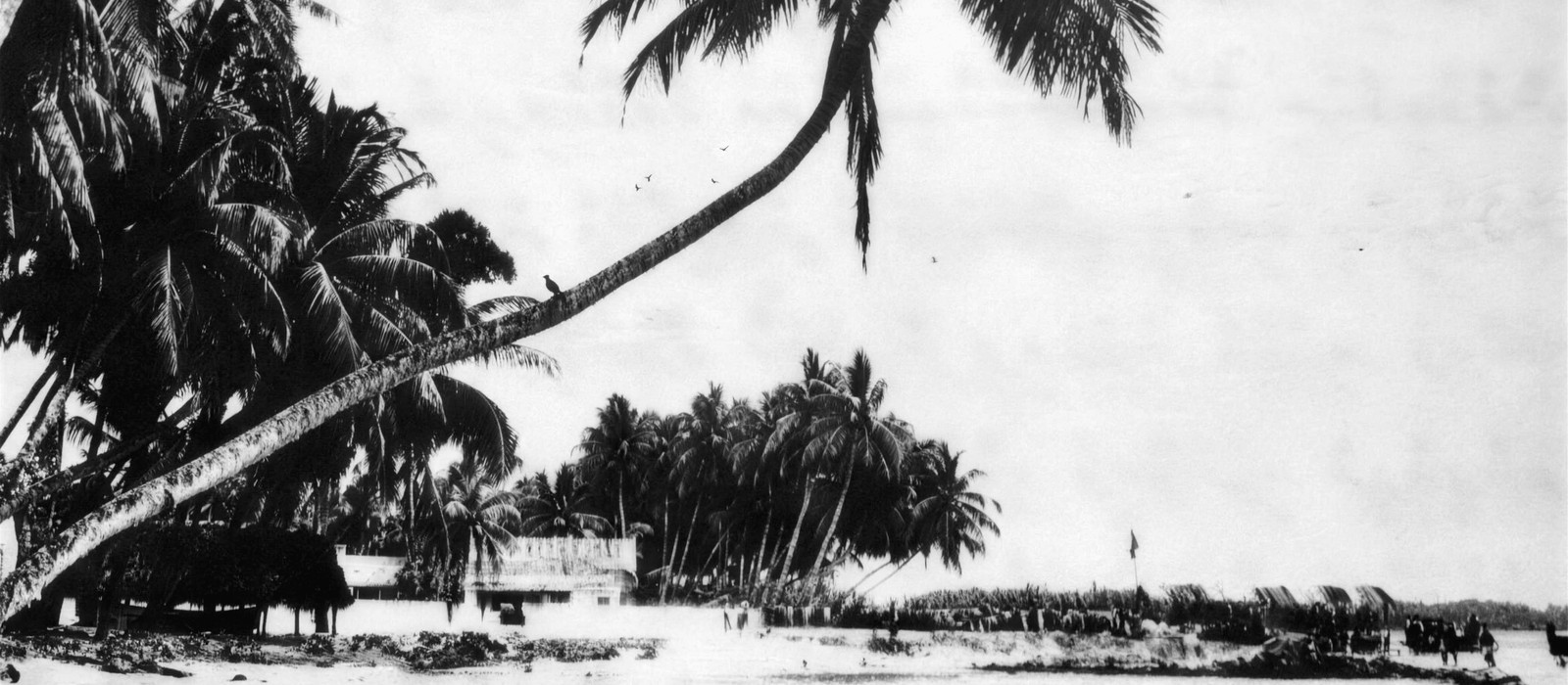 ގދ. ގައްދޫގެ އަތިރިމަތި — 16 ޖުލައި 1959