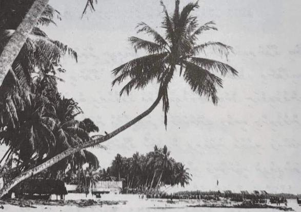 15/16 ޖުލައި 1959